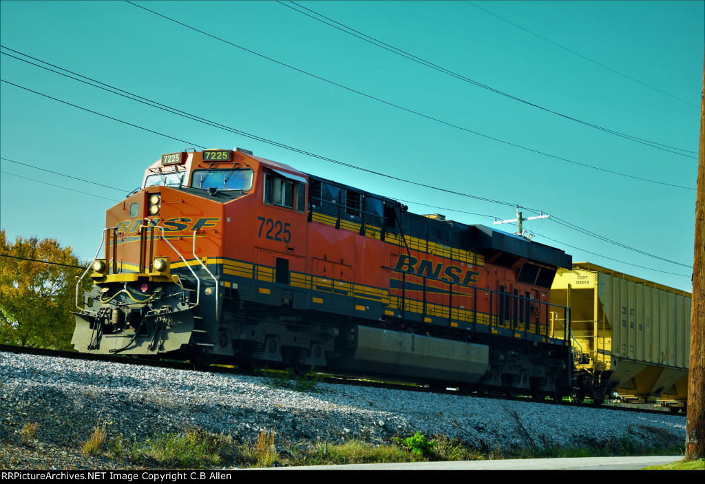 BNSF 7225.